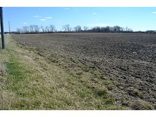 Property photo 81 - LAND AUCTION - 215+/- ACRES OFFERED IN 6 TRACTS IN VAN WERT COUNTY, OHIO